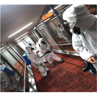 铜仁灭除蟑螂常见问题解答