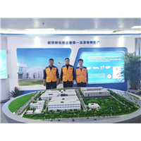 珠海除甲醛哪些植物可去除甲醛