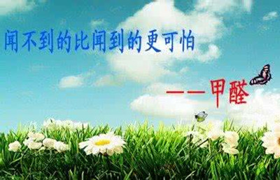 【珠海除甲醛电话，珠海除甲醛价格，珠海除甲醛收费】 