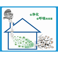 常州室内环境检测 