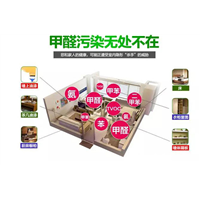 常州除甲醛 