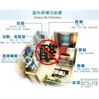 常州新车除甲醛 