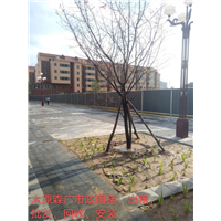 太原场地围挡**安装方案千万别传出去