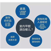 盘锦除甲醛公司哪家好 