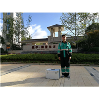保山御景东方别墅甲醛治理