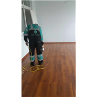 保山易乐上苑独栋别墅除甲醛