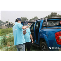 瑞安除甲醛如何减少甲醛的影响
