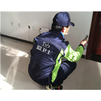 瑞安乐清除甲醛