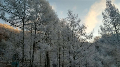青山沟农家乐电话15141533287