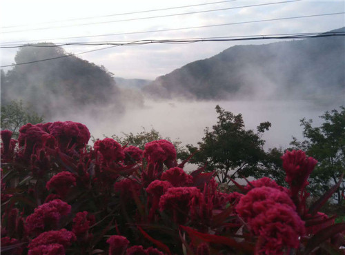 青山沟农家乐电话15141533287