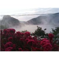 青山沟农家乐电话15141533287