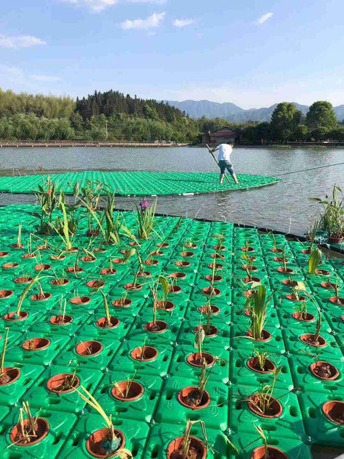 衡水市人工浮岛种植工艺/衡水市生态浮岛制作介绍