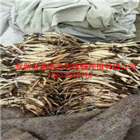 【荷花种苗】/盆栽荷花价格/盆栽睡莲价格 