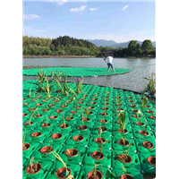 衡水市人工浮岛种植工艺/衡水市生态浮岛制作介绍