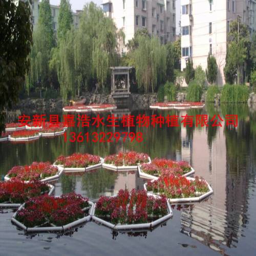 昆明市生态浮岛制作，人工浮岛制作价格，销售荷花苗 