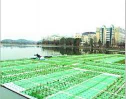 北京人工浮岛基地/北京人工浮岛**报价 