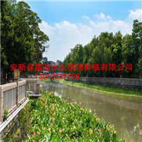 长治市人工浮岛制作厂家/长治市生态浮岛制作 