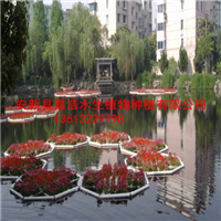 许昌市生态浮岛种植商/许昌市人工浮岛制作厂家 
