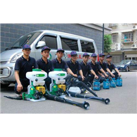 重庆灭白蚁公司