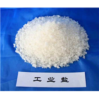 辽宁工业盐厂家-辽宁工业盐厂家直销-辽宁工业盐 