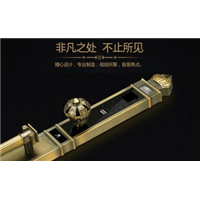 吉首指纹锁 