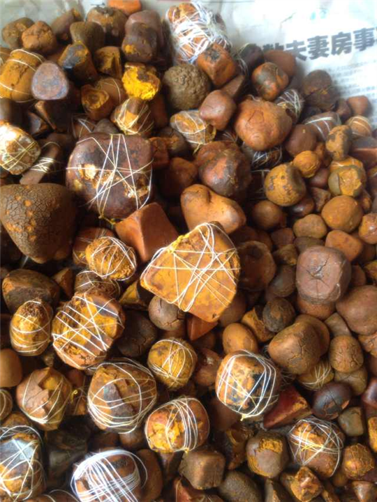 专业收购纯天然牛黄