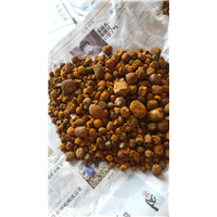 专业收购纯天然牛黄