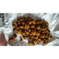 专业收购天然牛黄