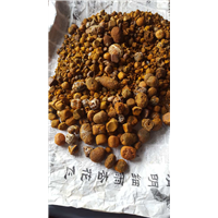 专业收购纯天然牛黄