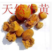 专业收购天然牛黄