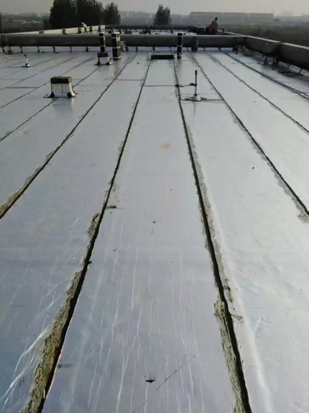 胶州屋面防水补漏 