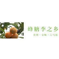 六马蜂糖李 