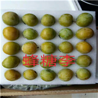 正宗蜂糖李 