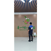 亳州除甲醛