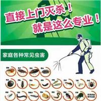 ##佛山灭白蚁公司 