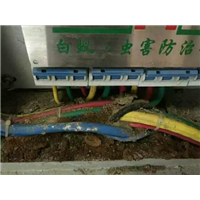 工地白蚁预防图 