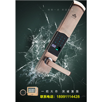 中方县指纹锁7 