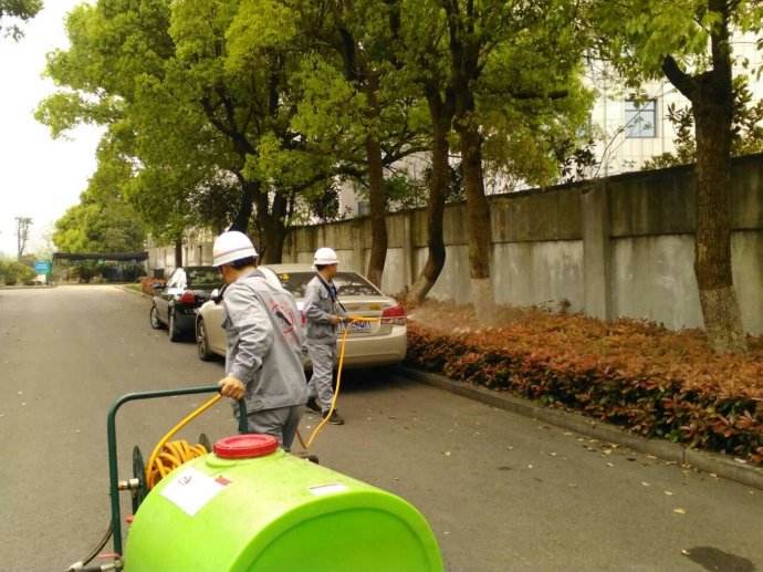 长沙上门灭白蚁