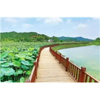 厦门壁画#厦门墙绘 