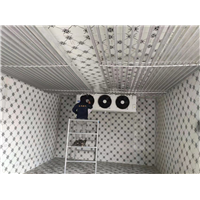 桂林冷库冷冻库保鲜库