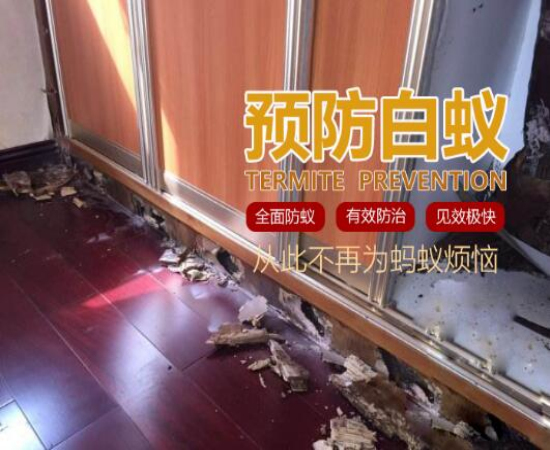 温州杀虫灭白蚁公司