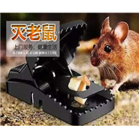 温州灭鼠