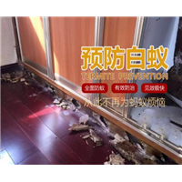 温州杀虫灭白蚁公司