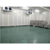 在桂林建造一个冷库需要多少钱