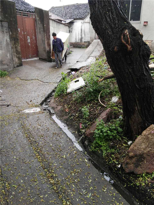 温岭搬家服务电话