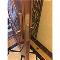 防城港开汽车防盗门锁多少钱