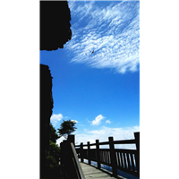 神龙架之旅 