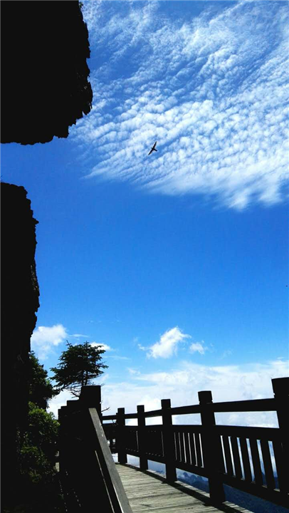 神龙架之旅 