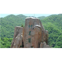 神农架旅游包车 