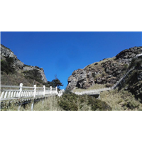 神龙架之旅 